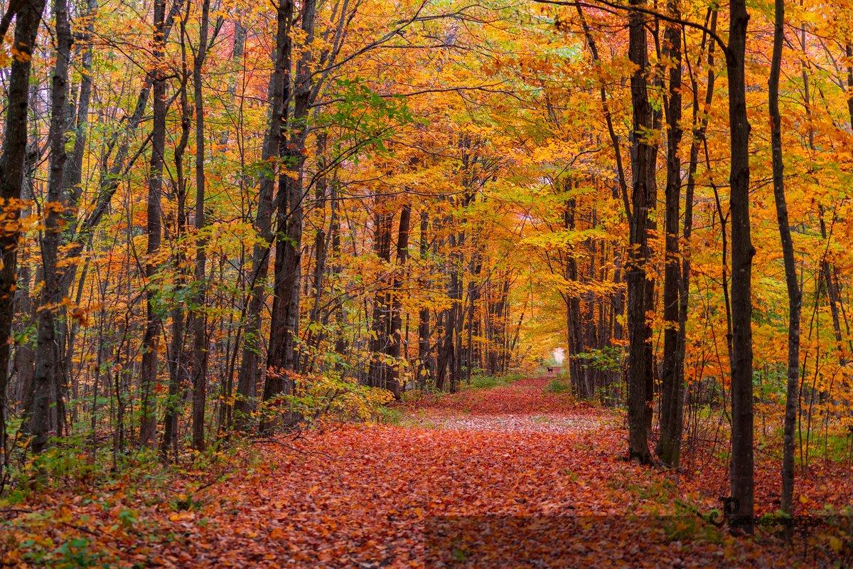 Automne — 1