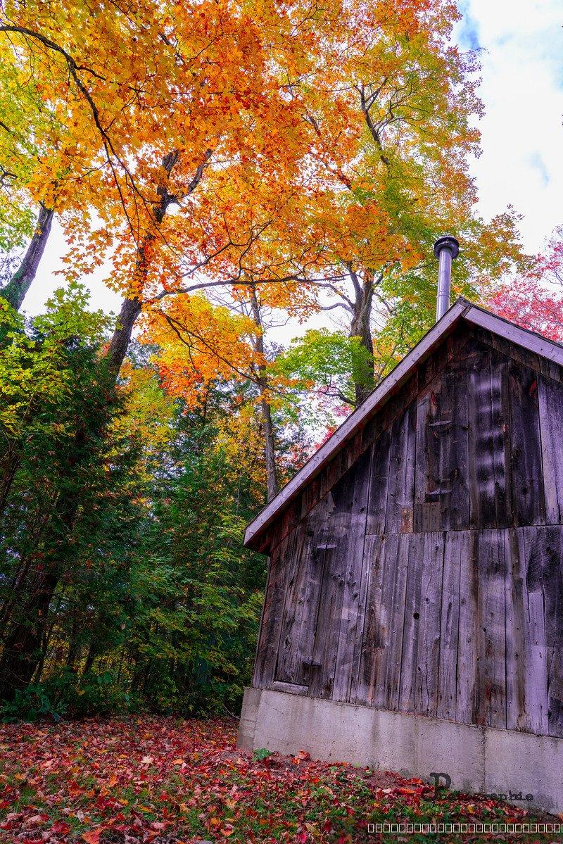 Automne — 4