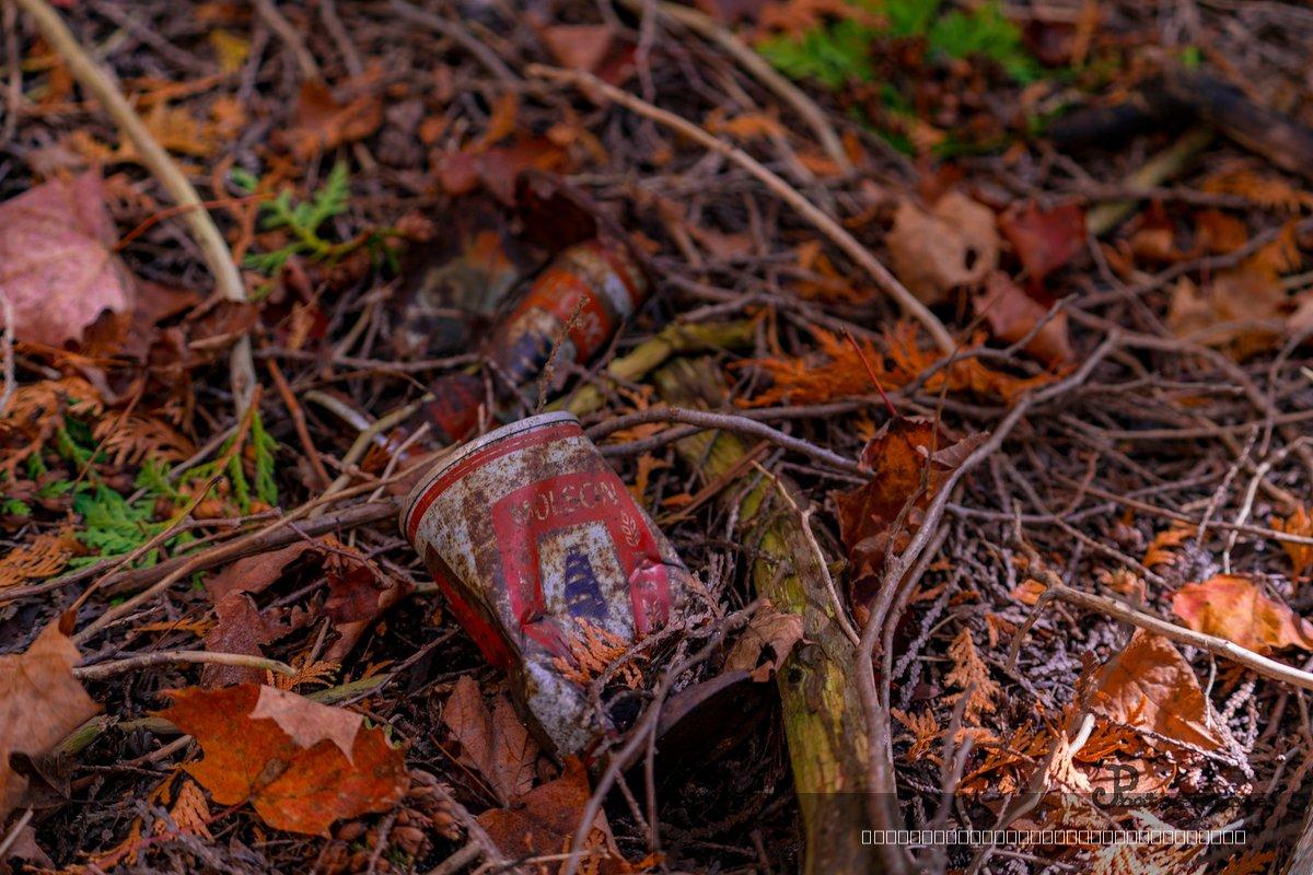 Automne — 7