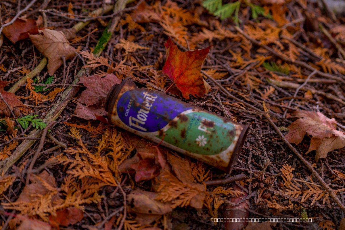 Automne — 10