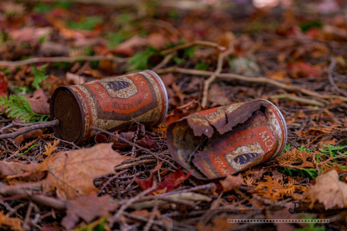 Automne — 13