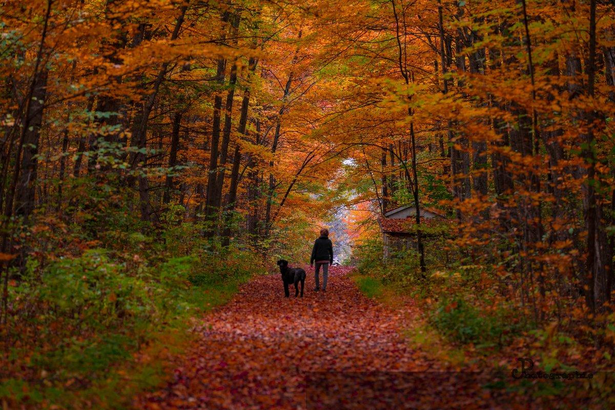 Automne — 19