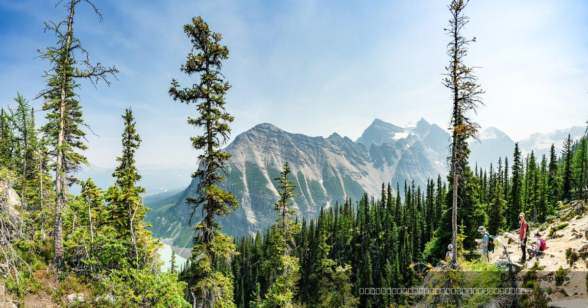 Canada — 61