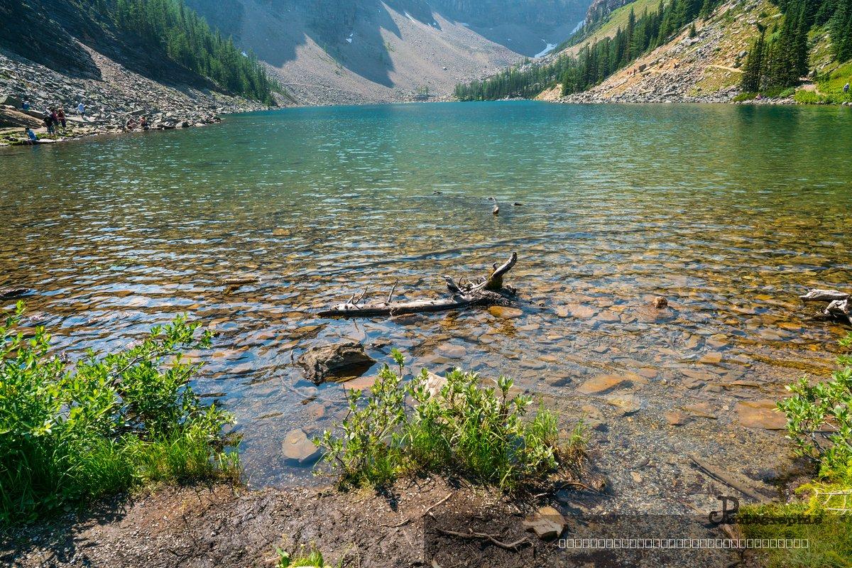 Canada — 82
