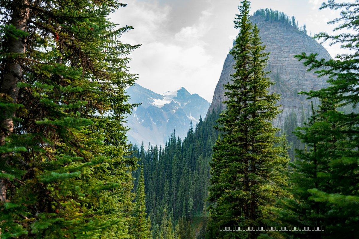 Canada — 121