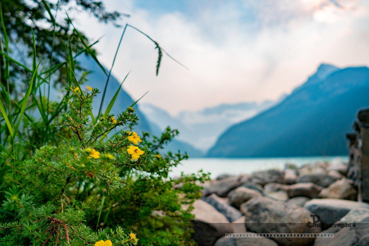 Canada — 130
