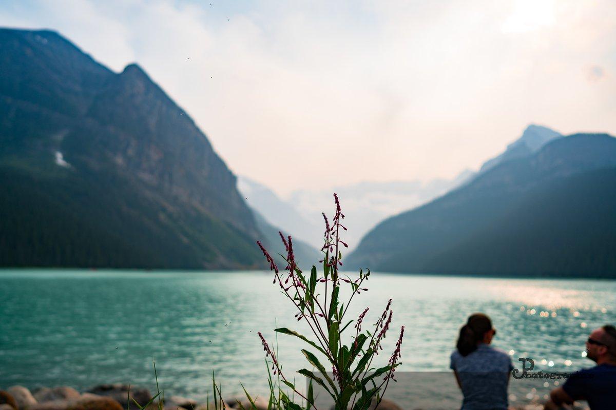 Canada — 133