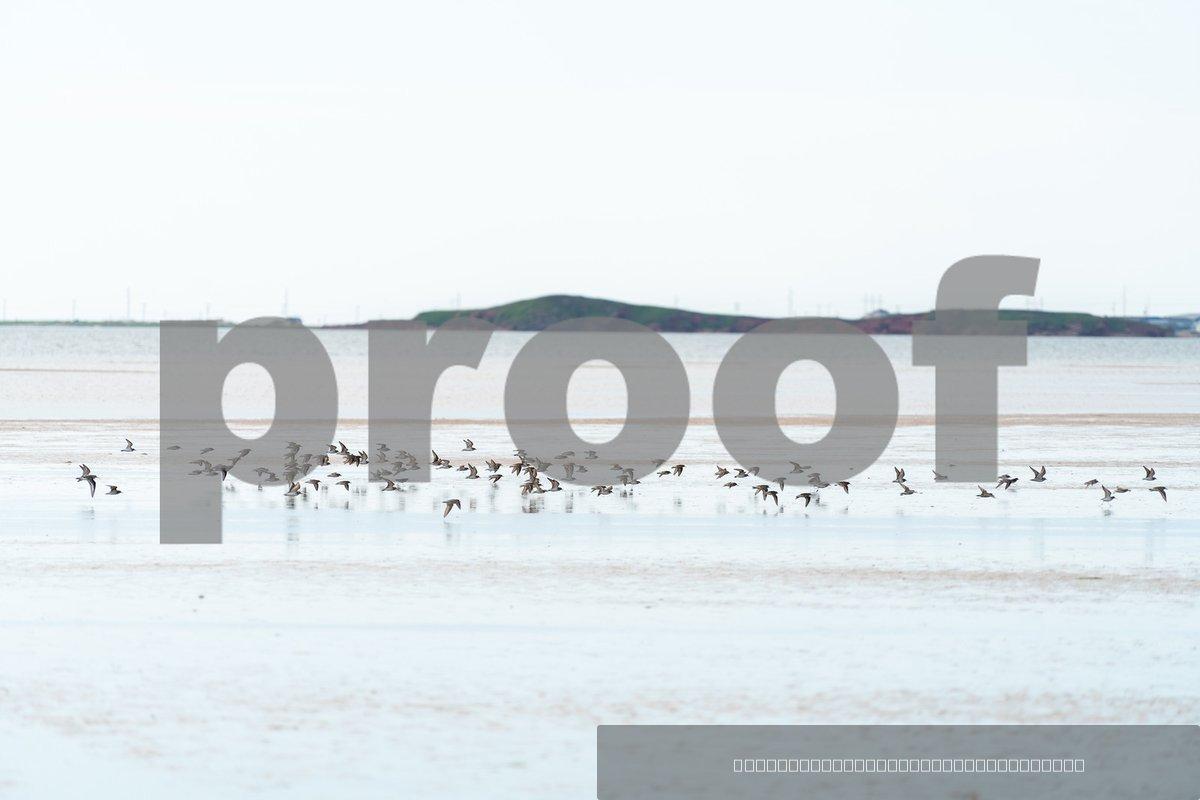 Canada — 307