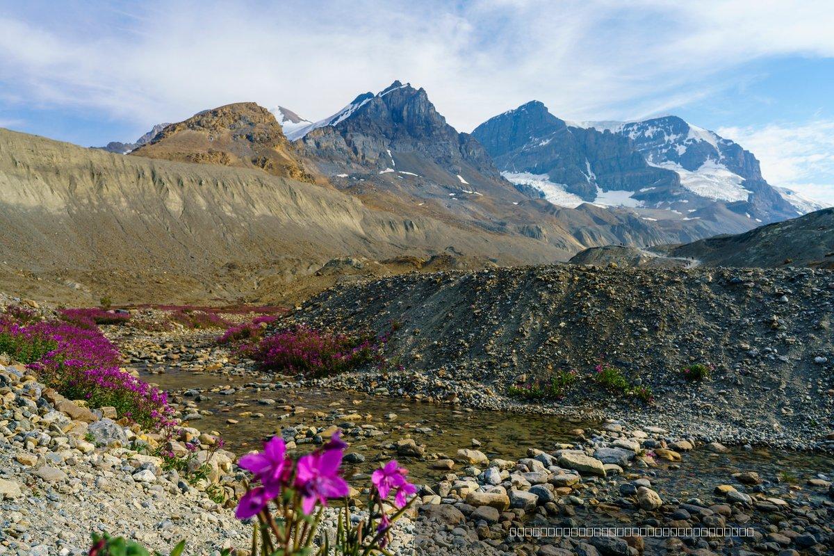 Canada — 349