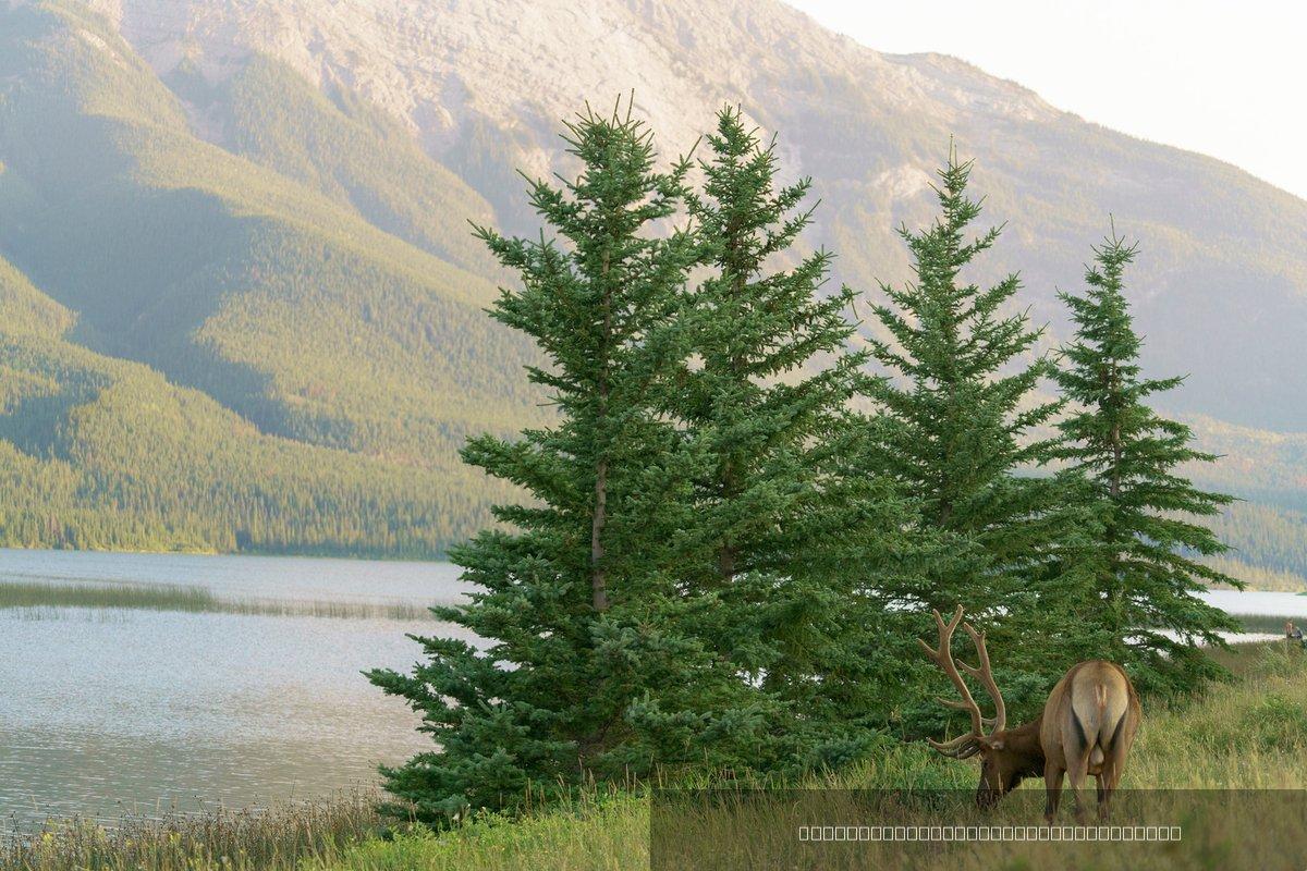Canada — 358