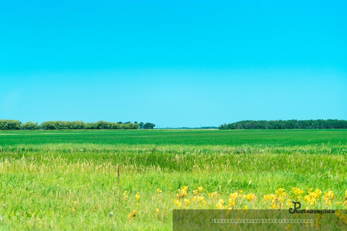 Canada — 382