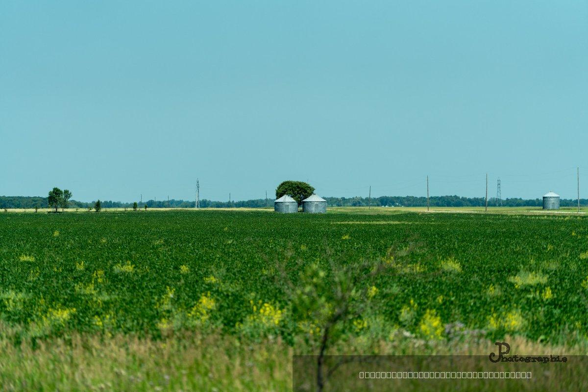 Canada — 385
