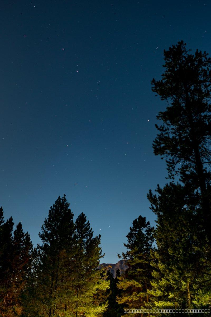 Night-shot — 22